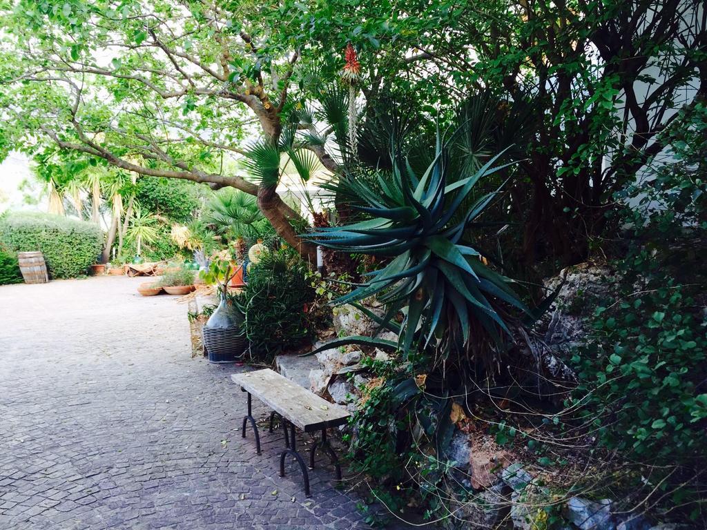 Villa Il Cappero San Vito Lo Capo Zewnętrze zdjęcie